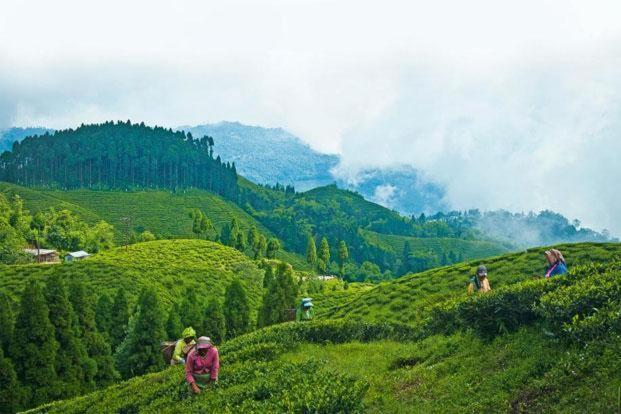 Hotel Central View - Darjeeling Dárdžiling Exteriér fotografie